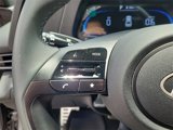 Certified 2025 Hyundai Elantra Sport w/ Cargo Package image 4