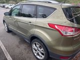 Used 2013 Ford Escape Titanium w/ Parking Technology Pkg image 4