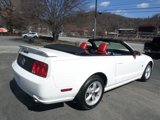 Used 2008 Ford Mustang GT Premium image 6