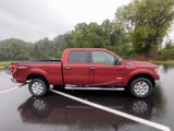 Used 2014 Ford F150 XLT w/ Equipment Group 302A Luxury image 4