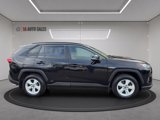 Used 2019 Toyota RAV4 XLE image 6