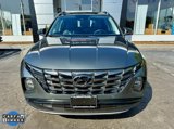 Used 2022 Hyundai Tucson Limited image 6