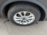Used 2022 Ford Escape S image 4