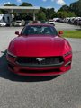 Used 2024 Ford Mustang Premium image 2