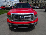 Used 2014 Ford F150 XLT w/ Equipment Group 302A Luxury image 3