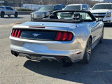 Used 2015 Ford Mustang Premium image 5