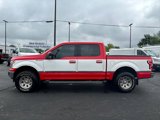 Used 2019 Ford F150 XLT w/ Equipment Group 302A Luxury image 5