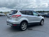 Used 2016 Ford Escape Titanium image 5