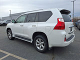 Used 2011 Lexus GX 460 image 5