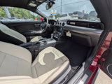 Used 2015 Ford Mustang Premium w/ Ecoboost Performance Package image 5
