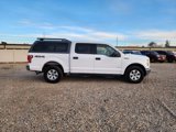 Used 2015 Ford F150 XLT image 4