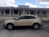 Used 2010 Cadillac SRX Luxury image 2
