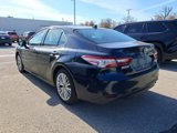 Used 2019 Toyota Camry XLE image 4