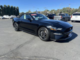 Used 2018 Ford Mustang Premium image 2