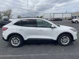 Used 2020 Ford Escape SE image 4