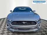Used 2023 Ford Mustang Premium image 2