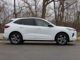 Used 2023 Ford Escape ST-Line image 2