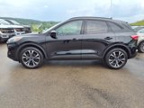 Certified 2022 Ford Escape SEL w/ SEL Stealth AWD Package image 4