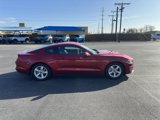 Used 2021 Ford Mustang Coupe image 2