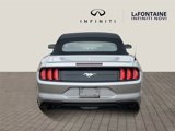 Used 2023 Ford Mustang Premium image 5