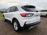 Used 2020 Ford Escape SE image 2