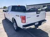 Used 2015 Ford F150 XLT w/ Equipment Group 302A Luxury image 5