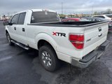 Used 2014 Ford F150 XLT image 6