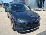 Certified 2022 Ford Escape SE image 3