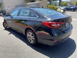 Used 2016 Hyundai Sonata SE image 4