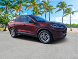 Used 2021 Ford Escape SE image 2