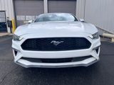 Used 2022 Ford Mustang Premium w/ Equipment Group 201A image 4
