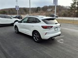 Used 2023 Ford Escape ST-Line w/ Equipment Group 301A image 4