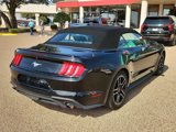 Used 2022 Ford Mustang Premium image 4