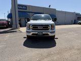 Used 2023 Ford F150 XLT w/ Equipment Group 302A High image 3