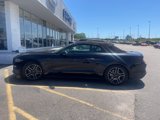 Used 2019 Ford Mustang Premium image 4