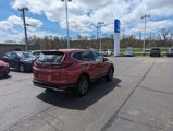 Certified 2020 Honda CR-V EX image 3