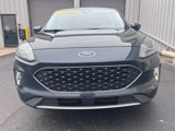 Used 2022 Ford Escape SEL image 4