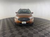 Used 2018 Ford EcoSport SE image 2