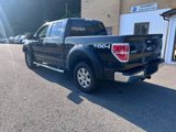 Used 2013 Ford F150 XLT w/ Luxury Equipment Group image 5