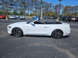 Used 2023 Ford Mustang Premium image 6