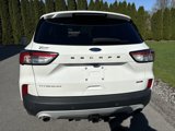Used 2020 Ford Escape Titanium image 4