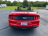 Certified 2022 Ford Mustang Premium image 5