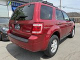 Used 2008 Ford Escape XLT image 5