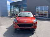 Used 2020 Ford Escape SEL image 2