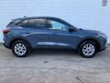 New 2025 Ford Escape Active w/ Cold Weather Package image 4