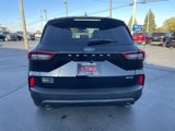 New 2025 Ford Escape ST-Line w/ Tech Pack #1 image 6