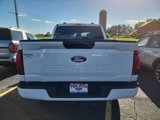 New 2024 Ford F150 STX image 6