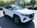 Used 2022 Hyundai Tucson Blue image 2