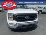 Used 2021 Ford F150 XL w/ Equipment Group 101A High image 5