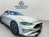Used 2022 Ford Mustang Premium image 5
